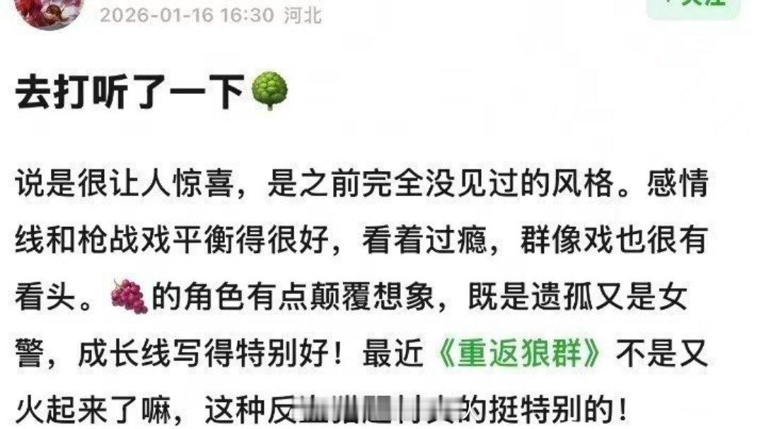 杨紫生命树最新repo：大女主也有群像，有些场面很震撼，有几个地方好哭，紫的角色