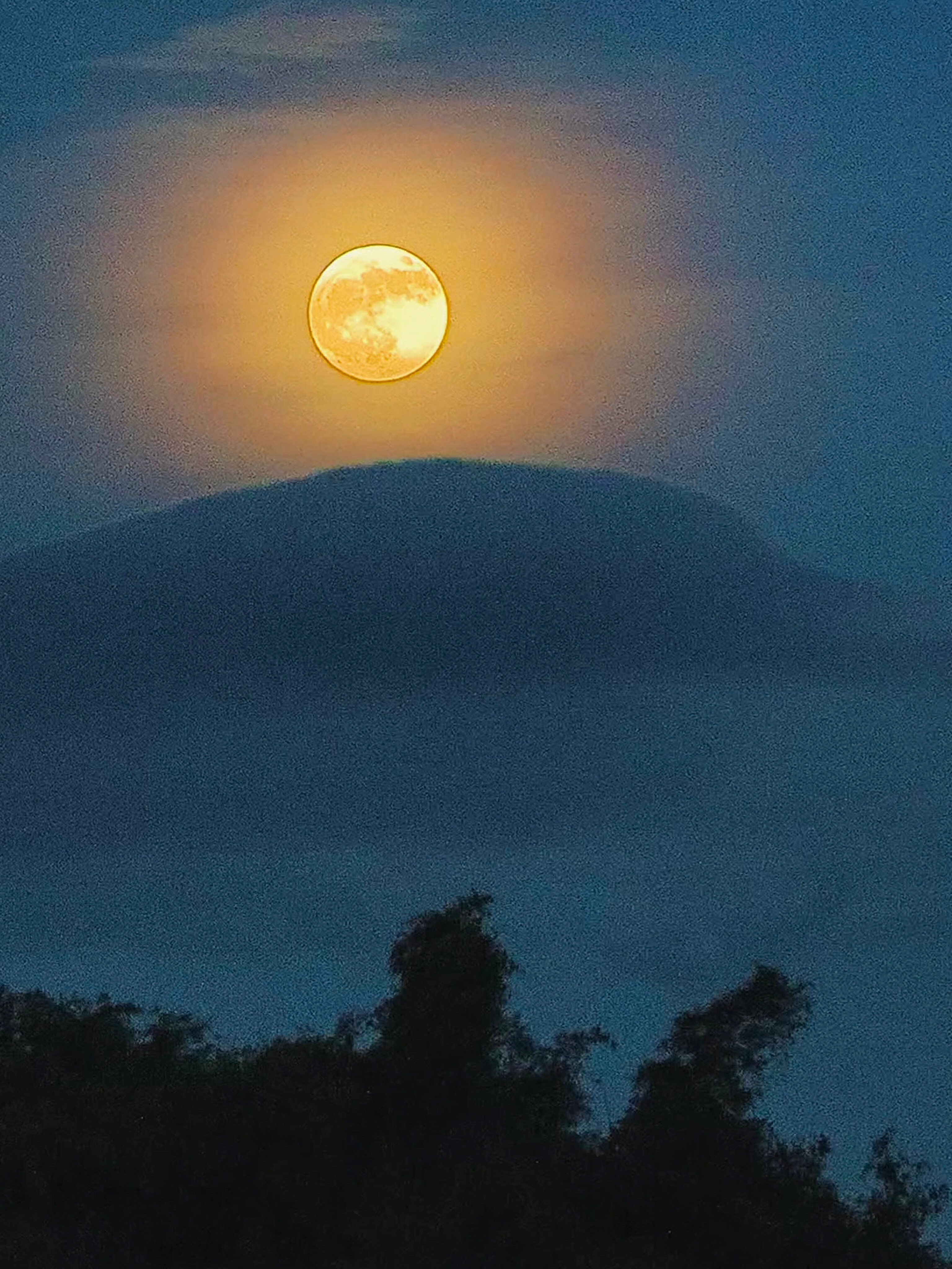 pyq发视频，那wb发图片今天也拍🌕了​​​～​​​