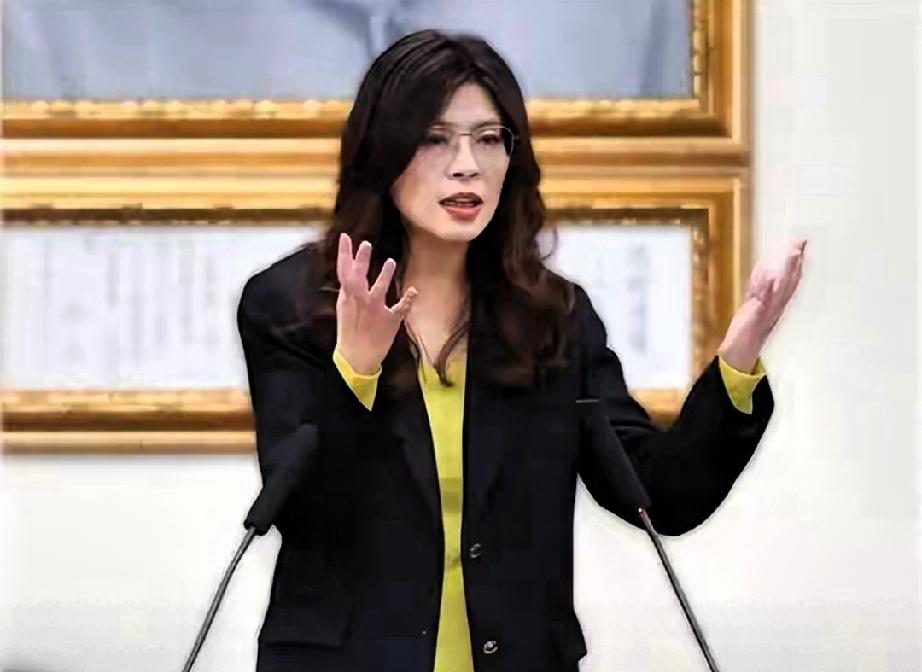 2月13号上午11点，郑丽文的得力干将，国民党副主席兼秘书长李乾龙，带领国民党中