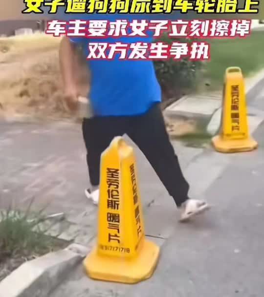 “大哥冲动了啊！”上海，女子的狗尿在了车轮上，车主人看见后让女子立马擦干净，女子