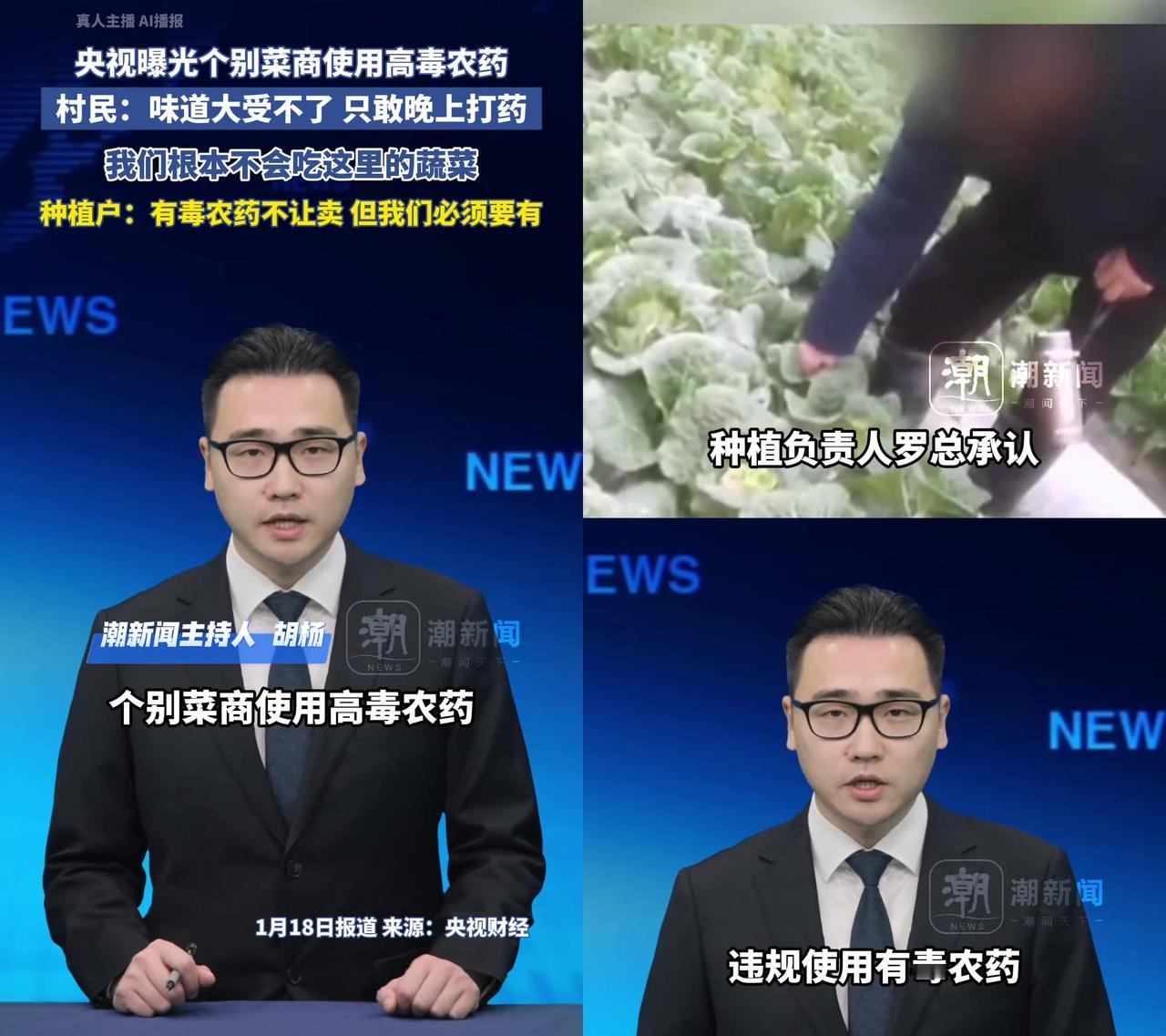 天门个别菜商用高毒农药，自己不吃却卖给武汉人？央视刚曝光，岳口镇村民说农