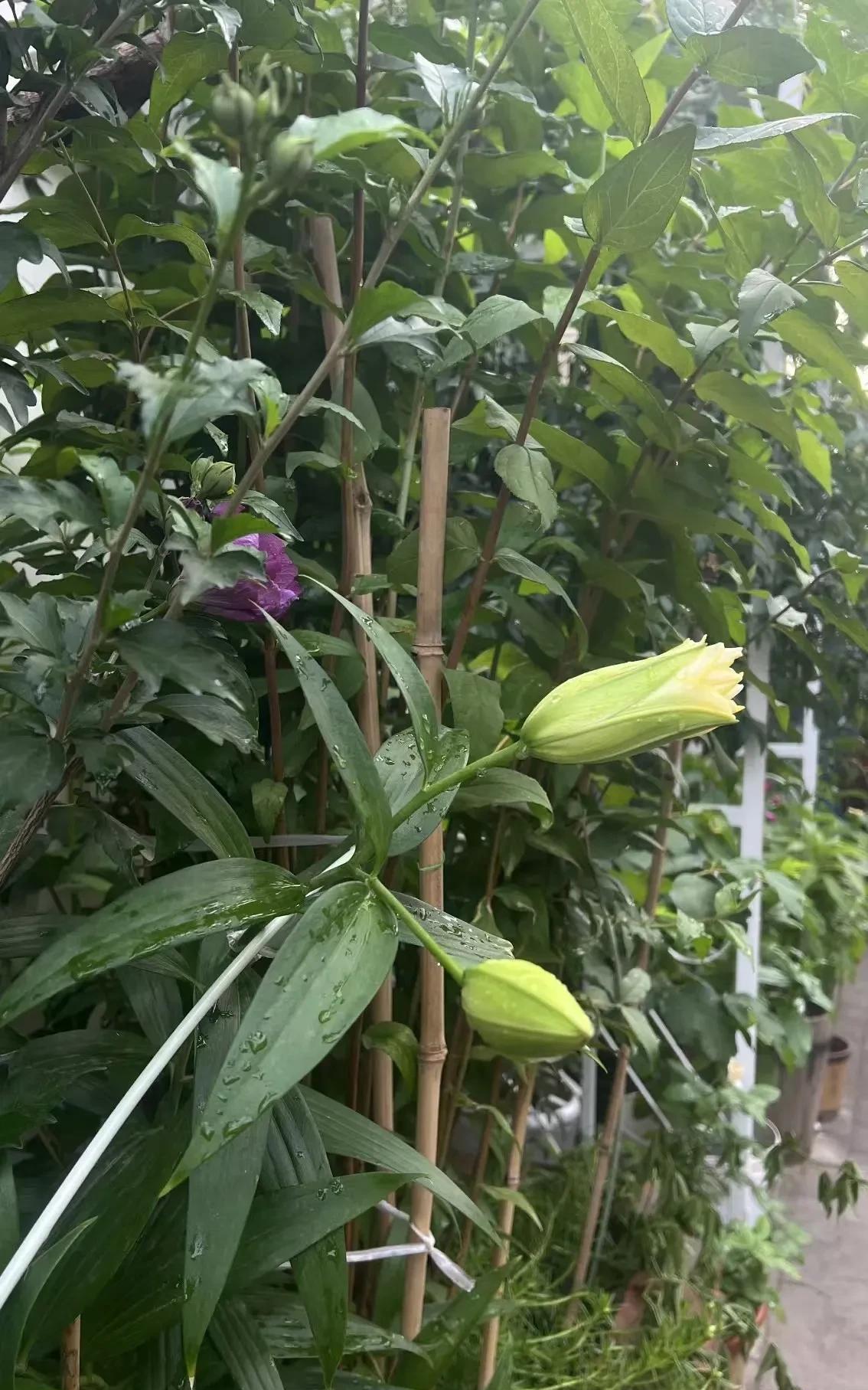 今天上午一个课间，有两个学生赵同学和王同学来找我，问我一道题，当时因为要马上上课