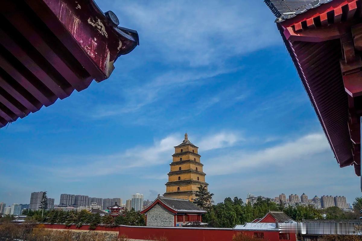 西安市碑林区物业红黑榜来了，快来瞧瞧你家小区上榜了吗？刚从官网看到这个消息，意外