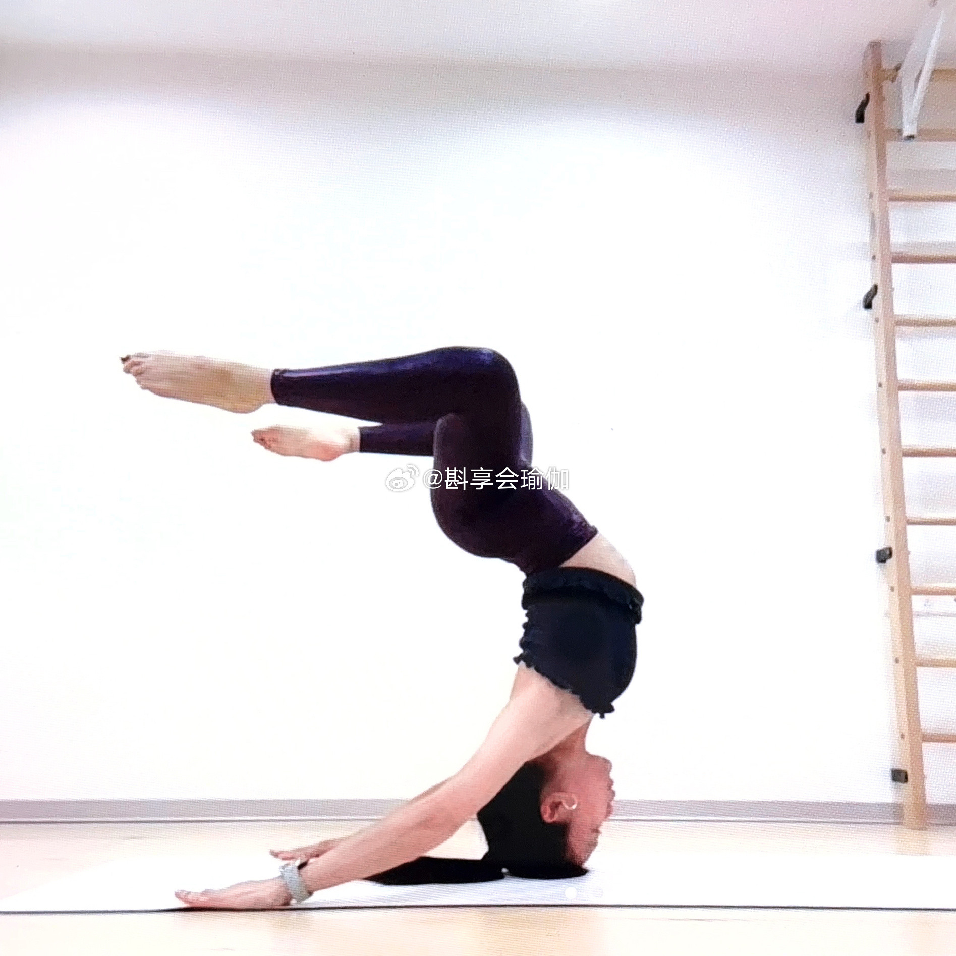 紫气东来款瑜伽瑜伽哈尔滨·斟享会瑜伽艺术馆