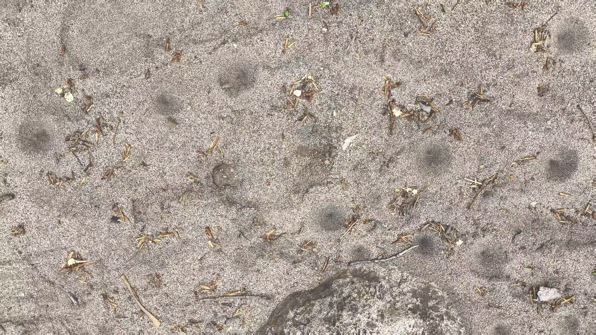 没在农村待过的人，肯定不知道沙土地方这些小坑里面是什么，每个沙土坑里面都有一个“