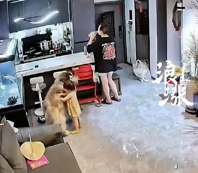 养狗的说狗不咬人，都是屁话！狗的兽性只要发作，不管主人还是外人都照咬不误！近