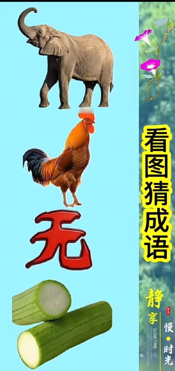 笑到打鸣！大象+公鸡+“无”+丝瓜，打一成语？90%的人第一反应都错了！