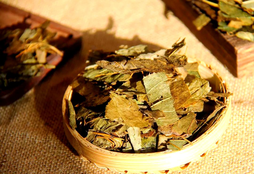 老中医为何说：巴戟天振阳少不了淫羊藿，杜仲强肾少不了牛膝，锁阳固精少不了肉苁蓉？