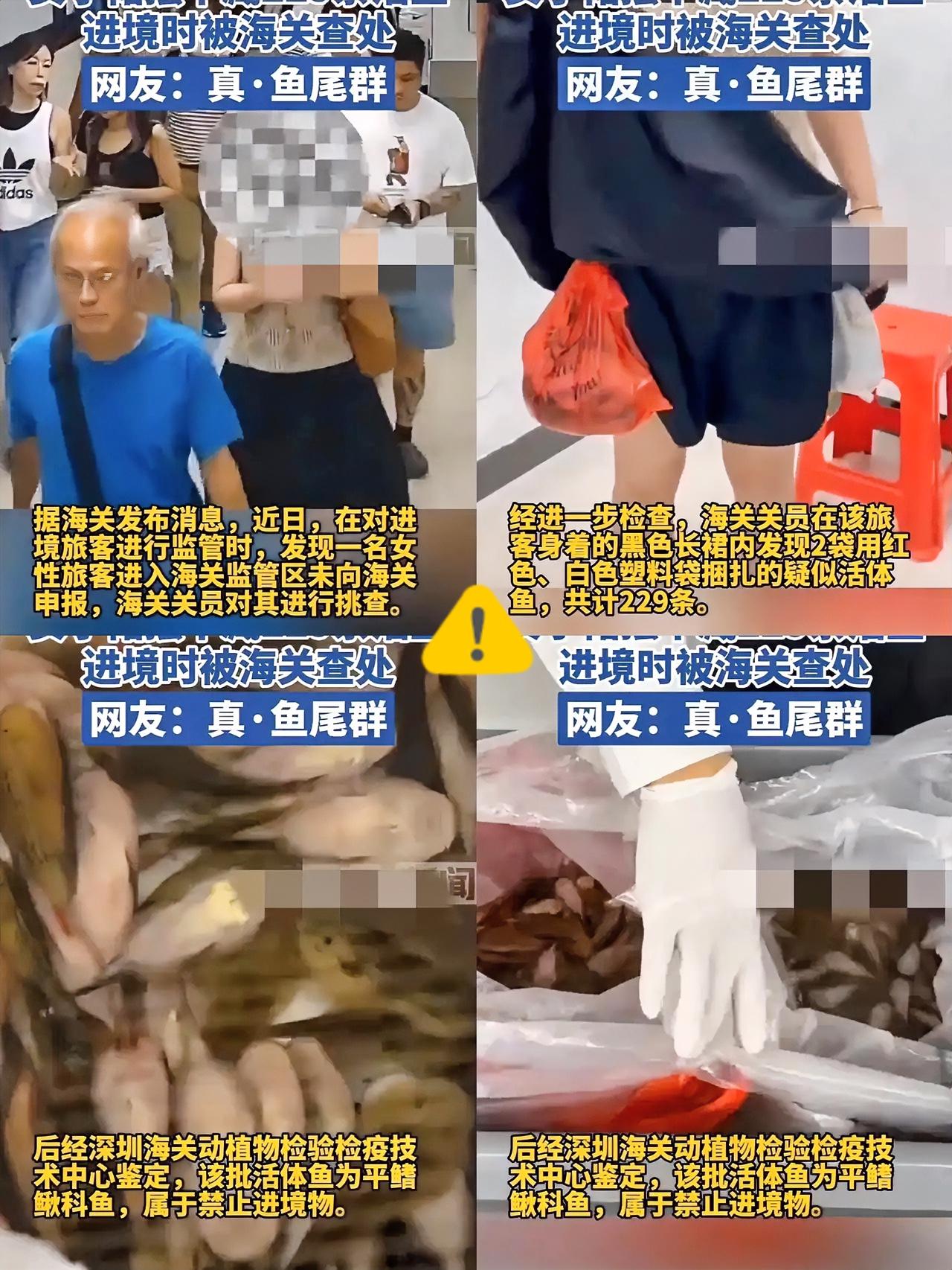 这下出名了，不仅深圳，全国人民都知道了！深圳海关这波查获太颠覆认知了！穿