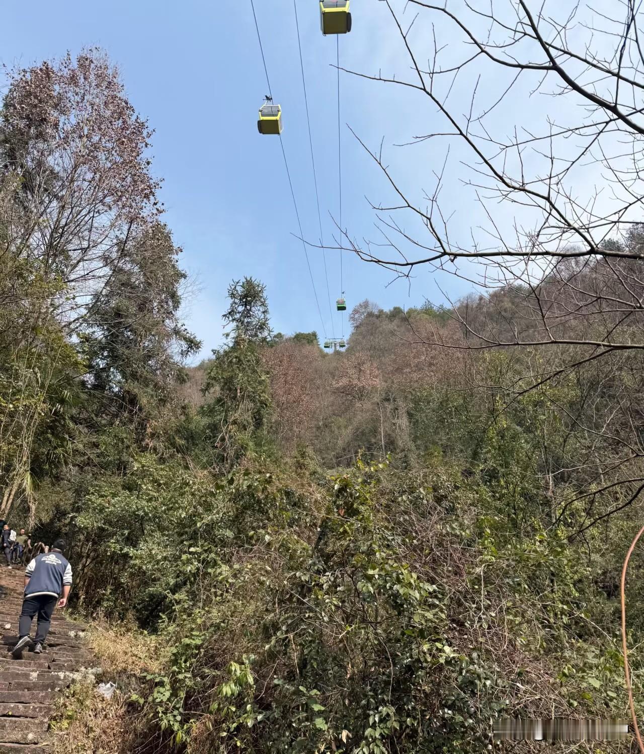杨家界索道避雷！！今天赶早走东门B线，7:30进门，10:30就到杨家界，