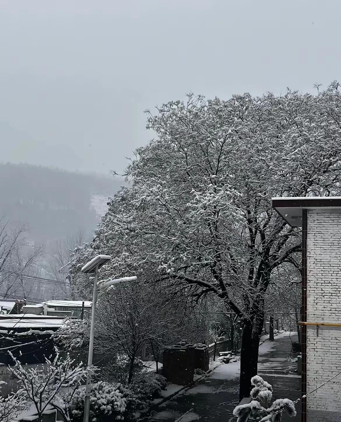 我姑家这个年，过得比连续剧还刺激，四个孩子一个比一个让人头大！40多岁