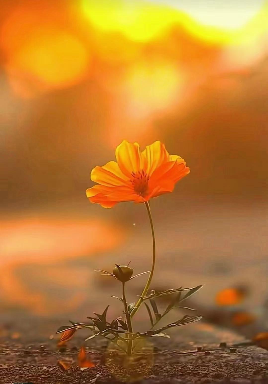 妈妈给儿子找对象提出的三条要求真是人间清醒：1、不生孩子的不要：一个家庭