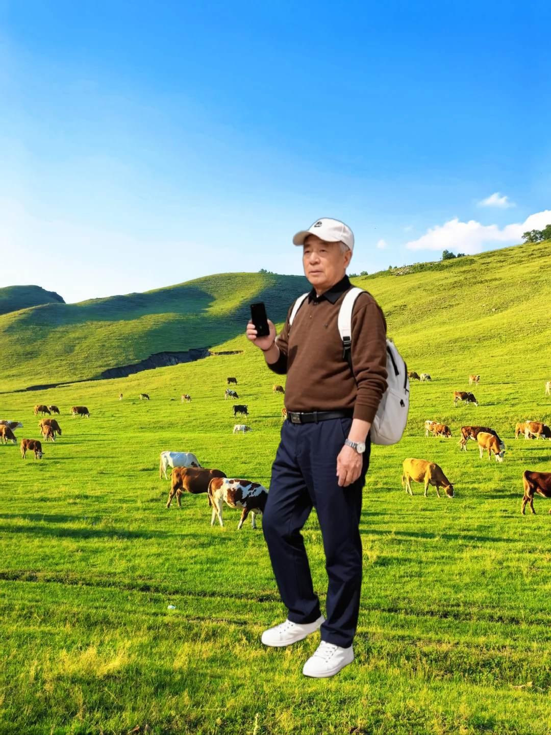 草原的风景太美了，蓝天白云绿草，散放的牛羊，景歌欣赏一一