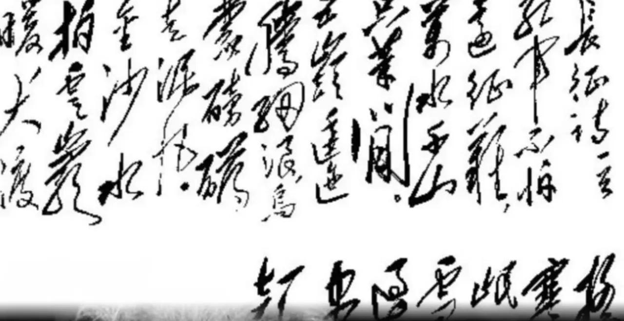 南博那个事儿闹得沸沸扬扬，连院长都搭进去了。毛主席亲笔题写赠予卫士长李银桥