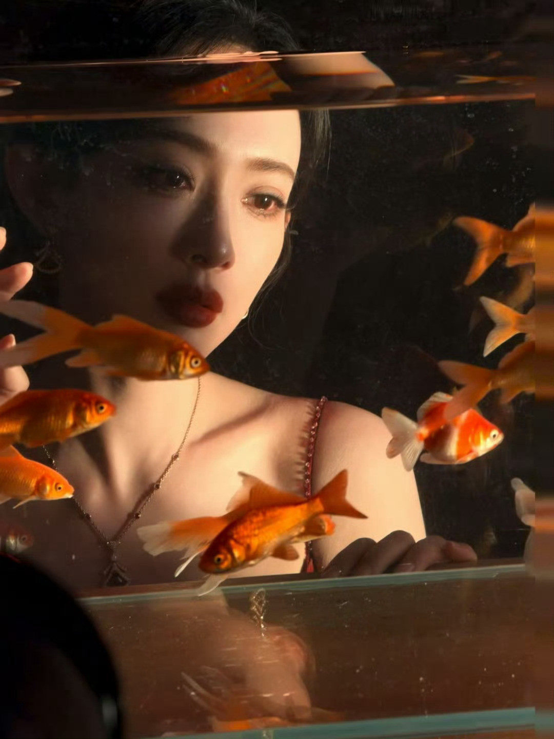 冬至快乐，孟子义好美好美我的锦鲤公主！一定会好运连连！！