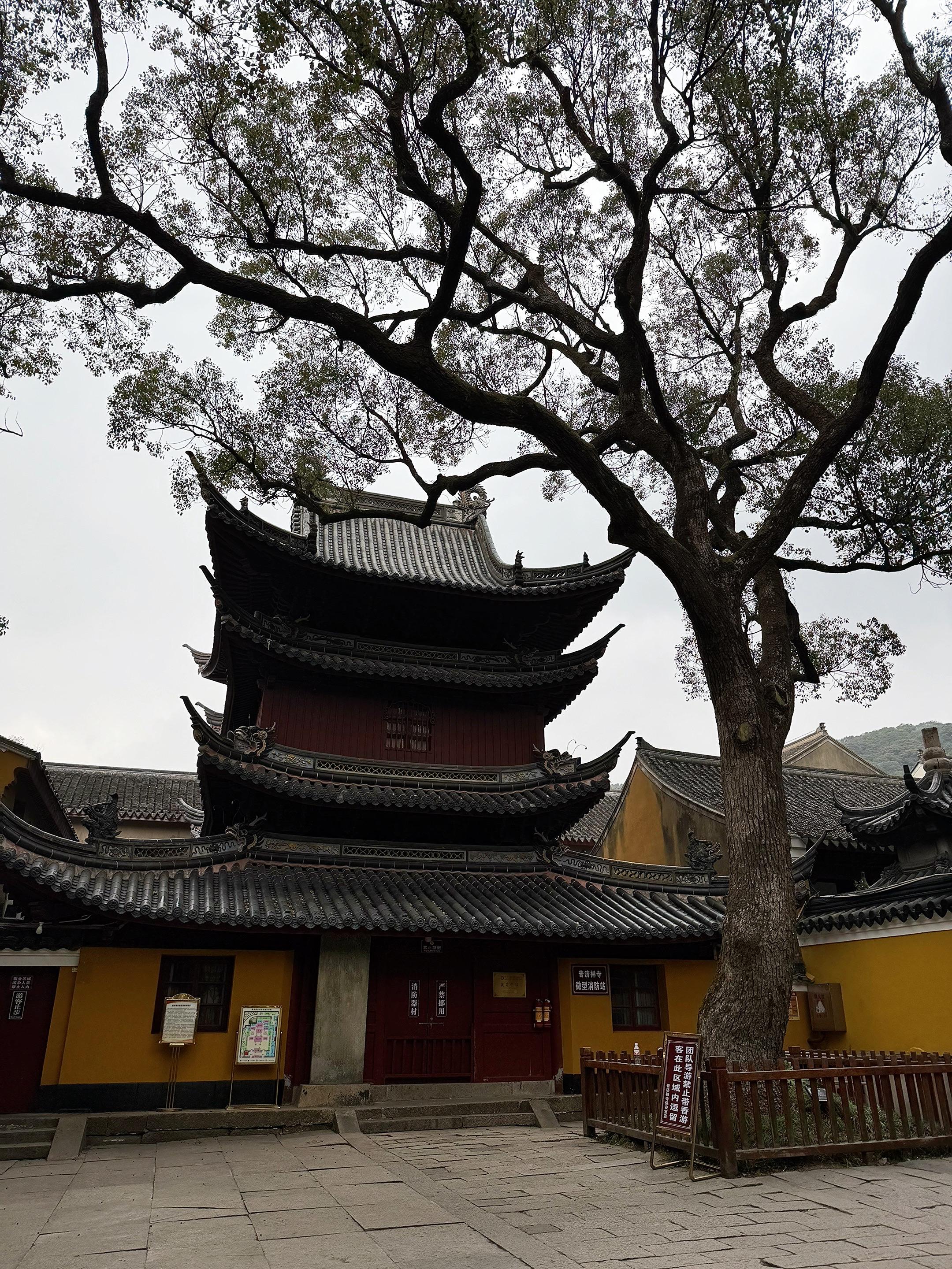 有人羡慕我小小年纪懂得五行生克、玄学、八字命理、梅花易数、天干地支，喜...