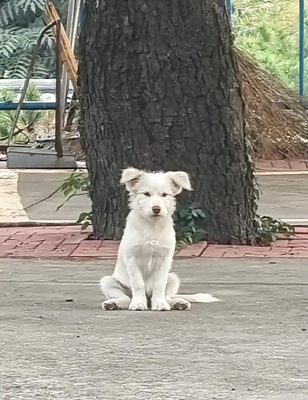 我真的情商低吗?今天回老家,到家大概早上十点钟左右,大姨问我吃饭了吗,我说没吃
