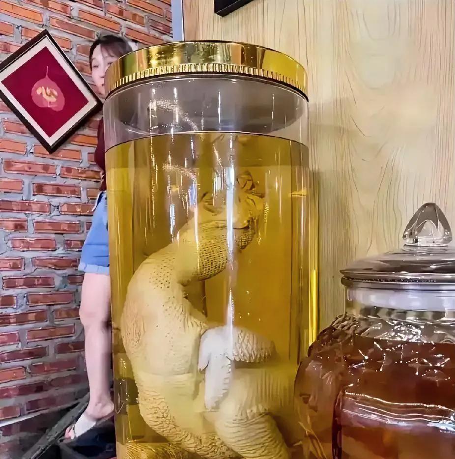 什么都拿来泡酒啊？