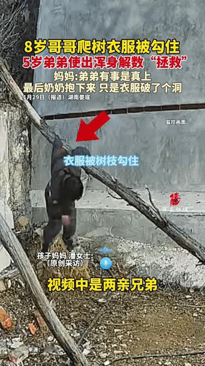 一位8岁男孩在院子里爬枯树干时，一个不小心衣服被树枝勾住，整个人吊在了半空中，挣