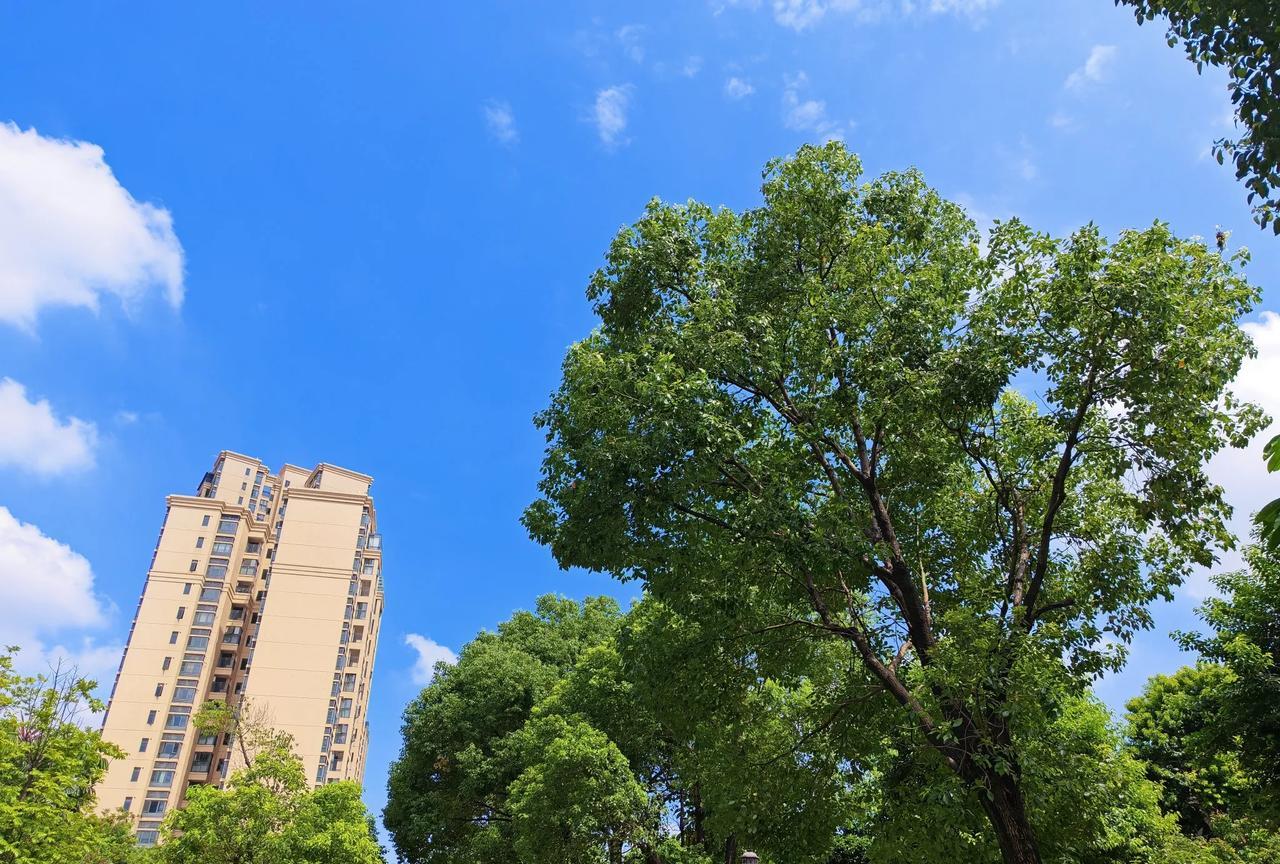 不管孩子多大，告诫他出门在外，一定要记住这四点：第一个，任何人向你求助，可以报