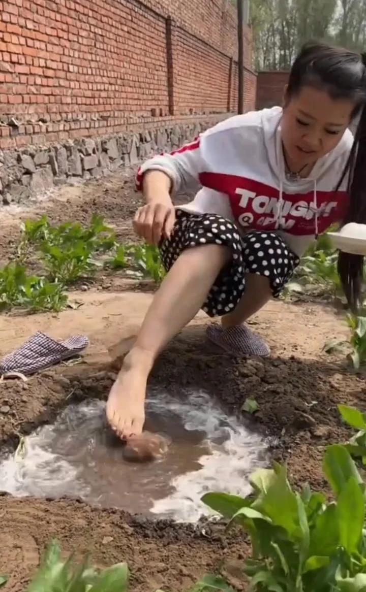 温泉煮鸡蛋。