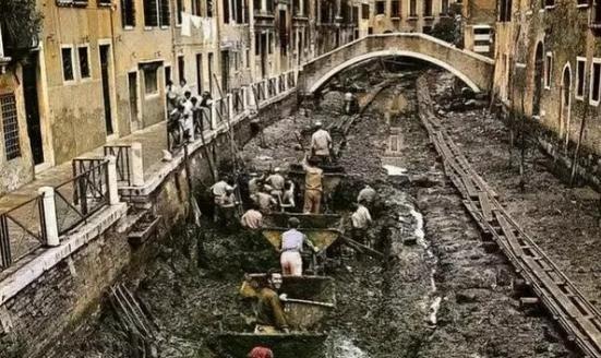 1956年，威尼斯市政府决定要全面清理一次河道淤泥，就开始招标，但是由于给的预算