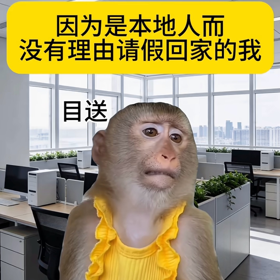 我今天就这样看着空旷的办公室：