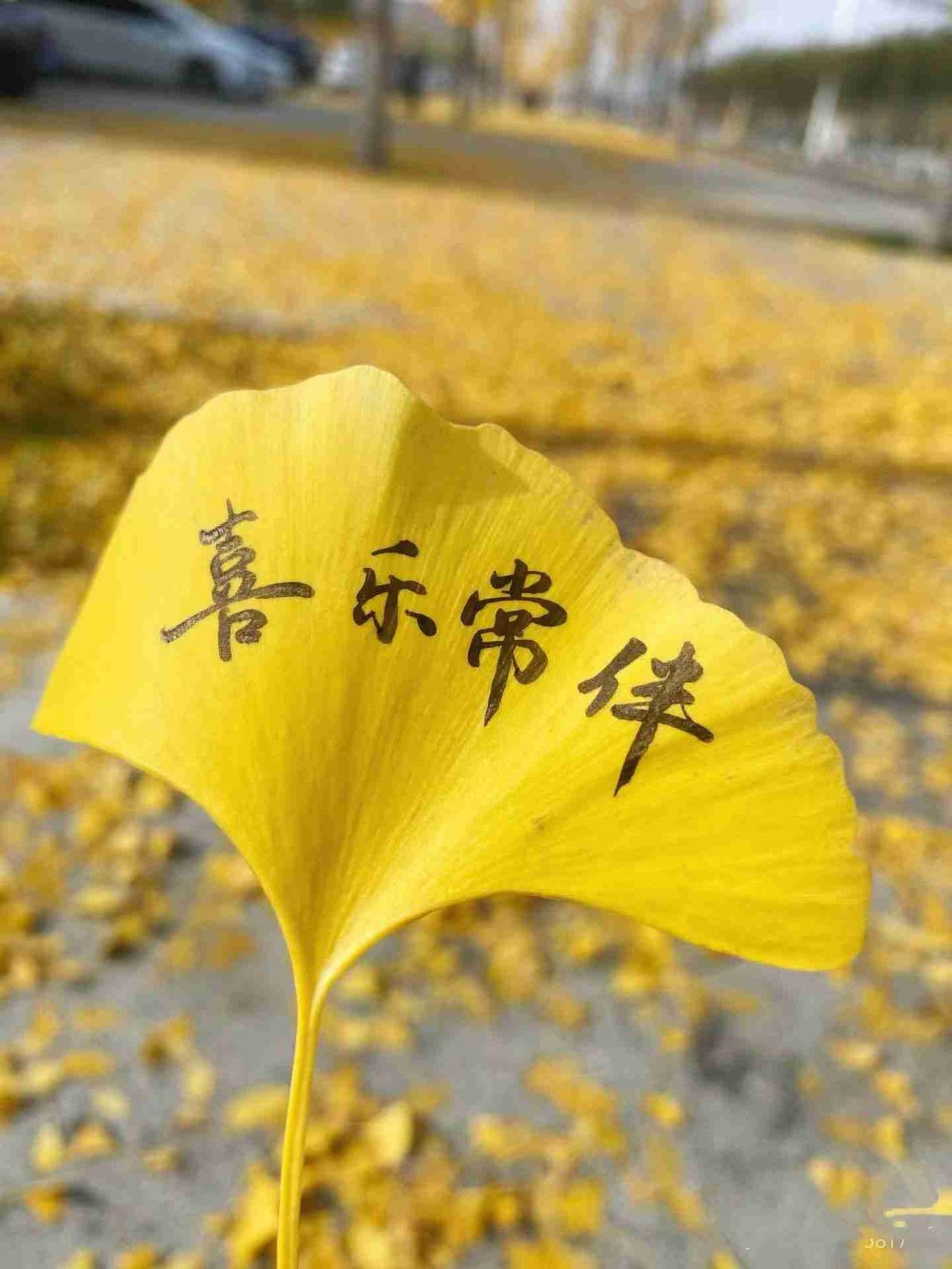 我的今日状态：😁轻松愉快我这里的天气：☀️晴天