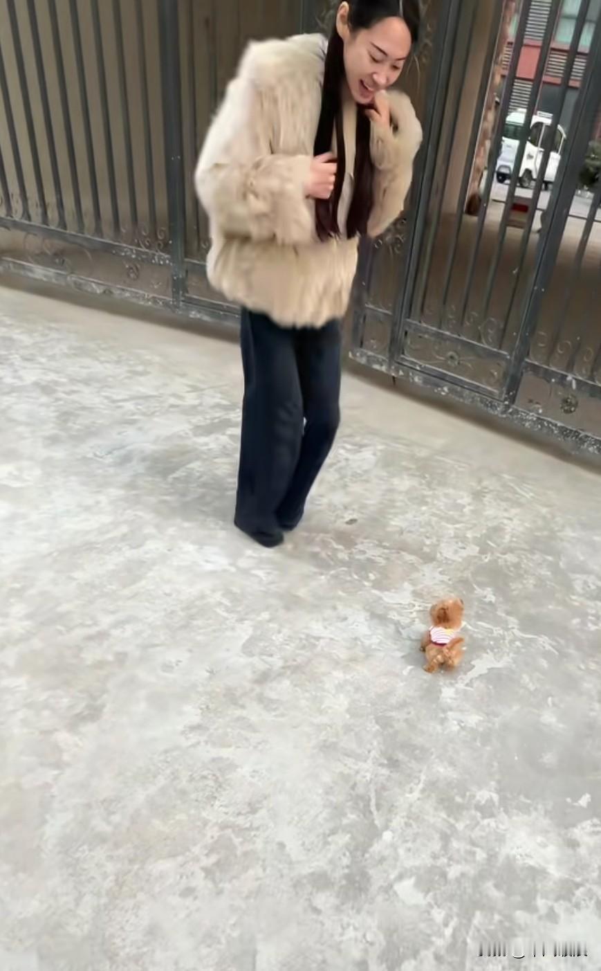 巴掌大小的小宠物，主人兴高采烈地逗它走路，它那走路的模样可爱极了，惹得美女咯咯大