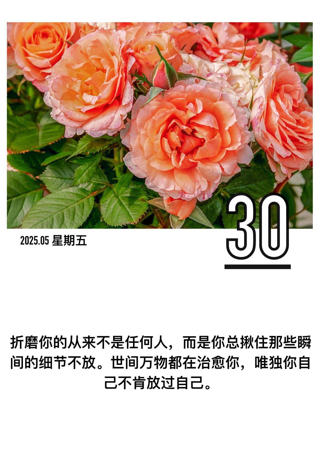 「折磨你的从来不是任何人而是你总揪住那些瞬间的细节不放世间