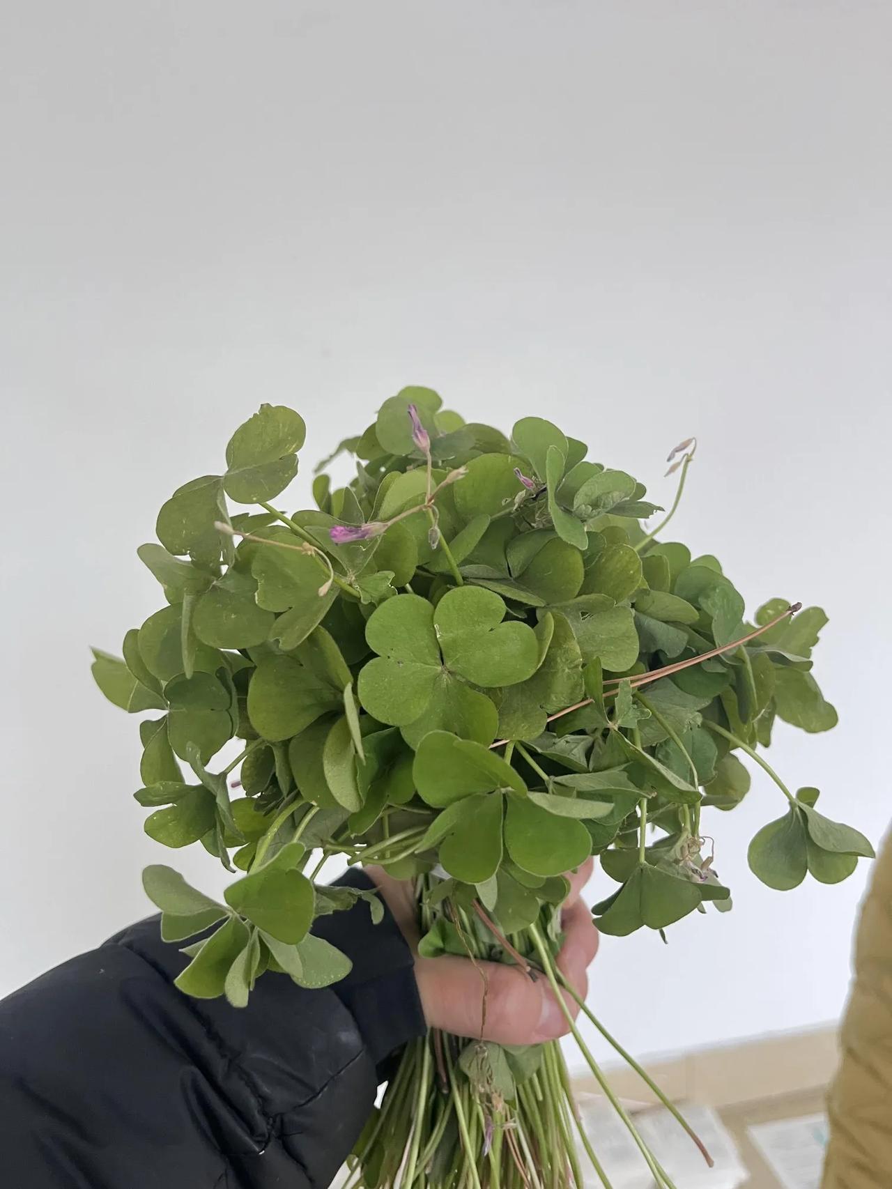 同一个单位年龄大的人工作量总是少很多劳动强度小很多，多出来的劳动量，转嫁到了年