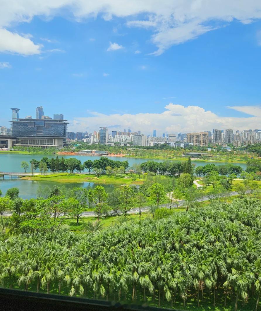 深圳35岁互联网大厂女士，南山上班。最近打算在深圳买房了，房租一年差不多8万（月
