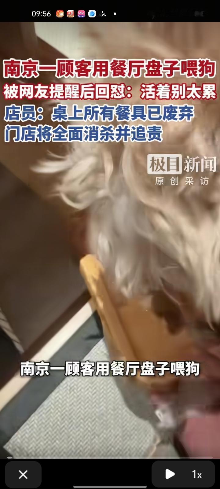 1月20日，江苏南京。一段在南京市秦淮区一家料理店，有人用餐厅盘子喂食宠物狗引发