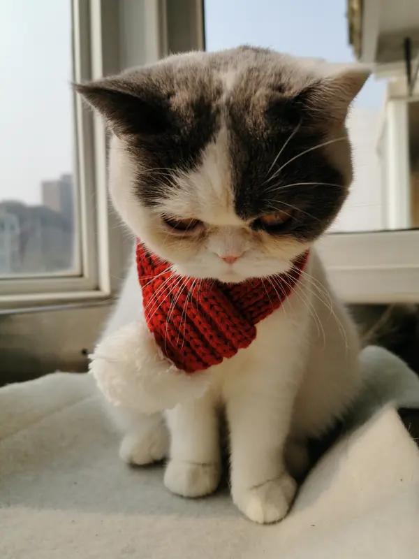 女人真没必要为了孩子委屈求全。楼下有个阿姨，说要不是为儿子，二十年前就和老公离了