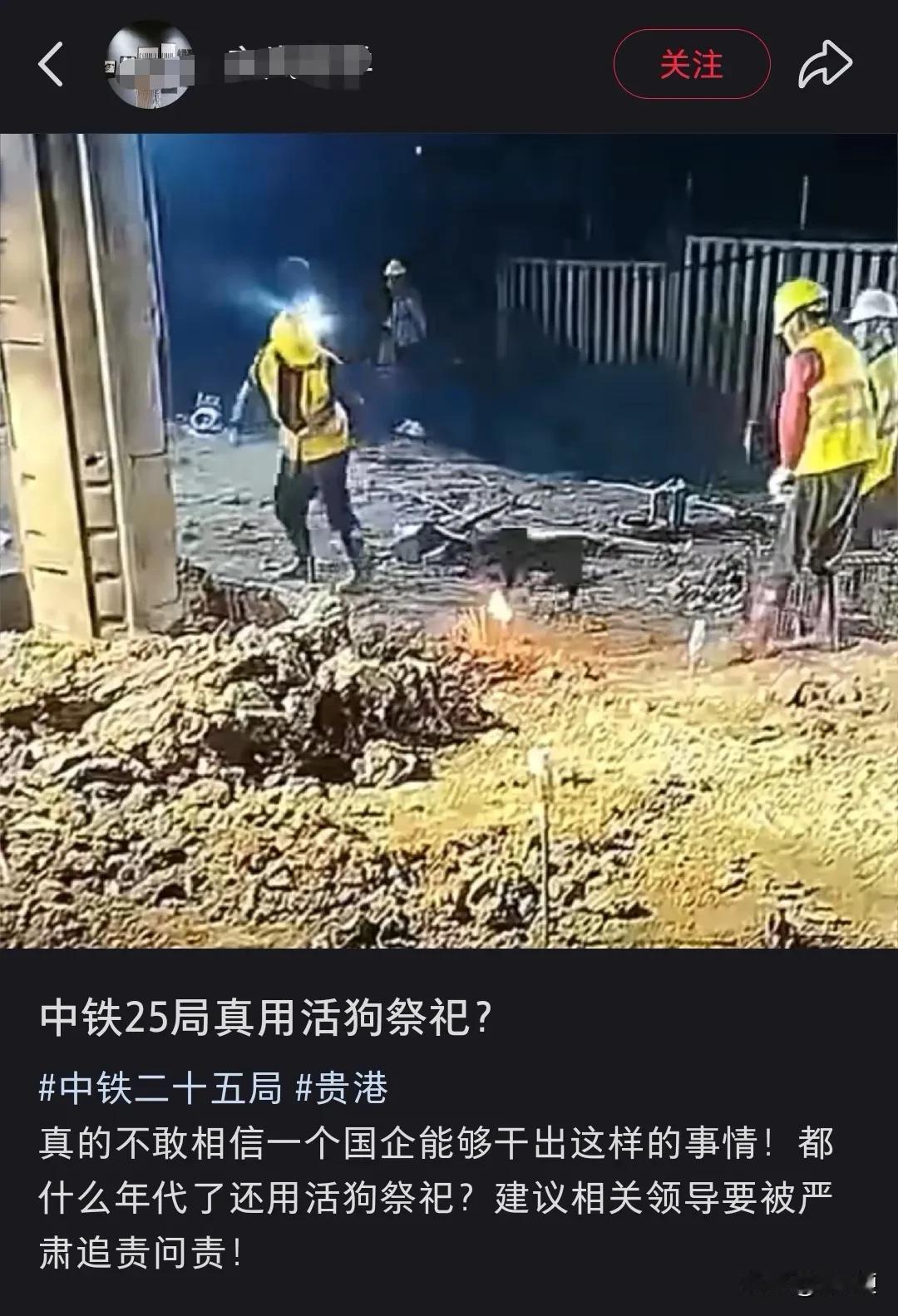 中铁二十五局用活狗祭桩？昨天在各平台突然涌现，评论区马上转进到“今天敢用狗，明天