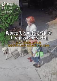 这就是命啊！湖南常德，一女子接孩子放学回家时，有条狗一直跟在车后跑，女子害怕有危