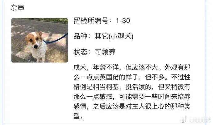 北京公安局领养犬页面描述好感人[哭哭]​​​