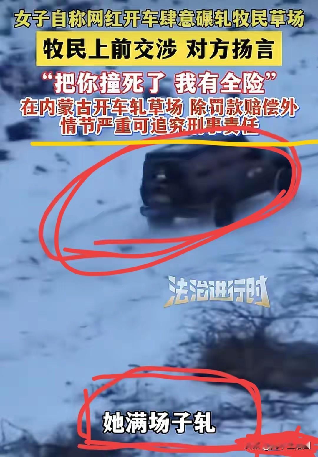 又是内蒙古大草原，又是牧民和自驾游之间的矛盾，一这次你站谁那一边？浙江一