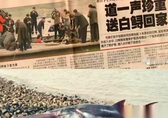 船头猛地向下一沉，冰凉的江水“哗啦”一声直接灌进船舱。渔民刘云华双膝死死抵住船板