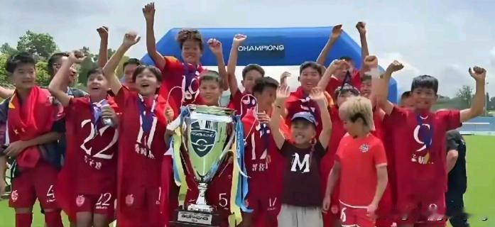 如果足协主席拍板聘请为中国少年足球总负责人，为中国足球继续努力。我觉得这也是足协