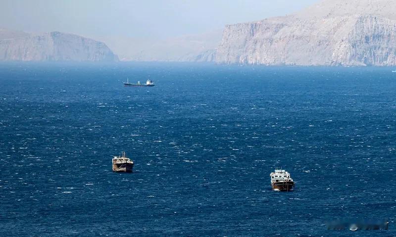 霍尔木兹海峡“已成战场”霍尔木兹海峡“已成战场”，这说法毫不夸张。它是全球石油