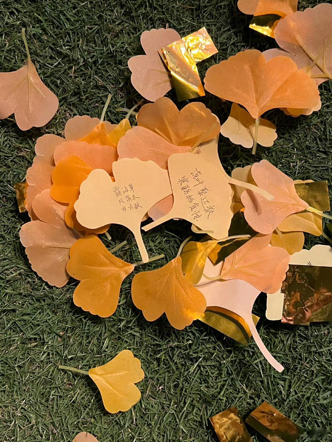 落叶是秋天送的第一场雨早上给窗台换花盆，捡了楼下飘来的几片红枫叶垫在盆沿，浇水
