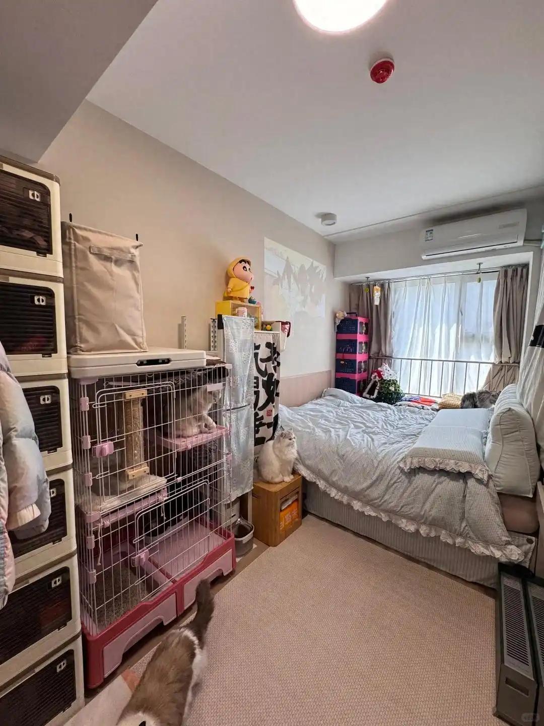 12㎡住出豪宅感？香港姑娘的“极繁风”小屋刷屏，网友：太壮观了！【进门就像掉