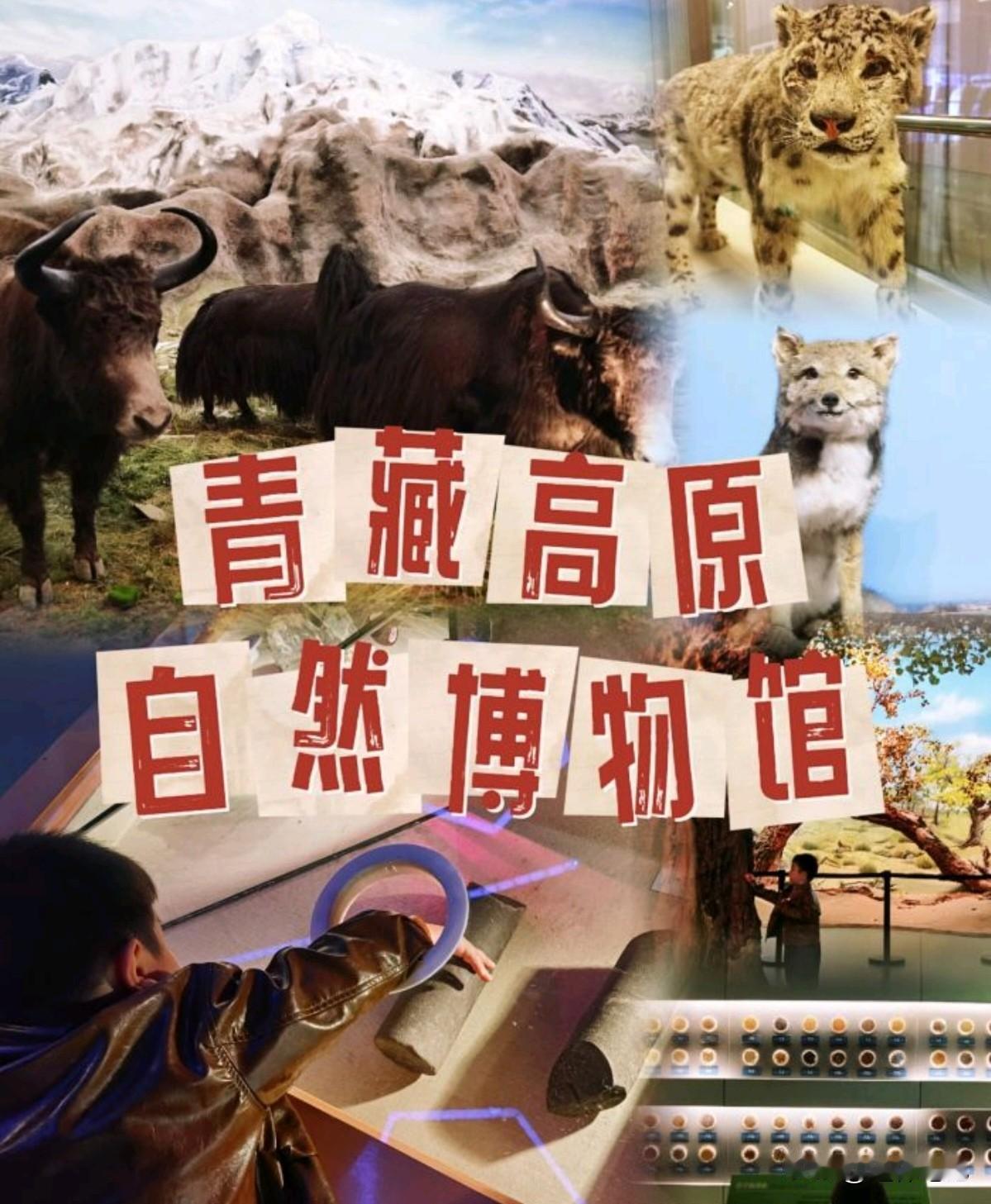 冬日生活打卡季进入到冬季以后，我想说的是确实是在户外的话比较寒冷，没有什么好的去