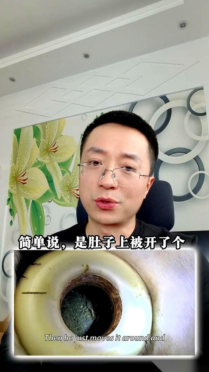 在牛肚子上开个洞，还伸手进去掏东西。别急着骂，我第一次看到也觉得头皮发麻，这不