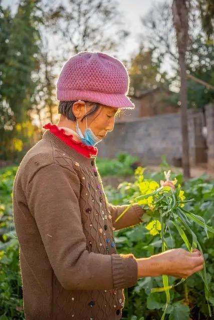 这是我至今都无法理解的事情。我发誓我所说的事情句句实情，绝无半句谎言。邻