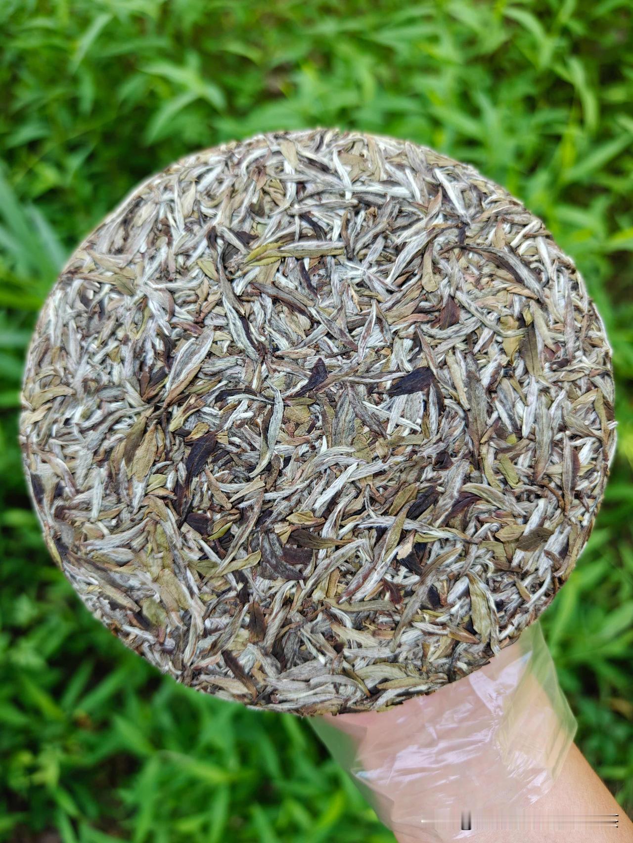 喝茶时这些洋相不要出：大红袍不是红茶，是乌龙茶，铁观音不是绿茶，是乌龙茶，