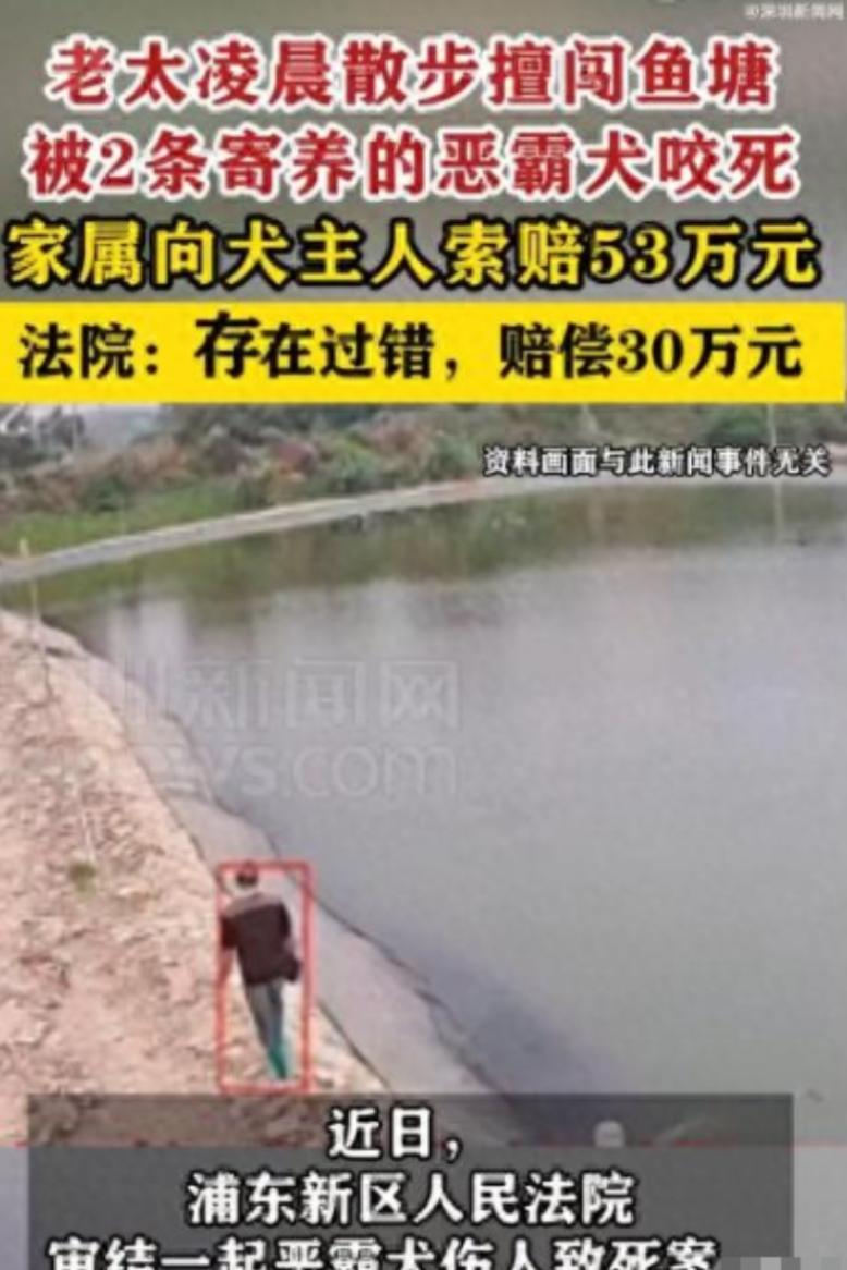 上海，一位80多岁的陈老太因年纪大睡不着，凌晨五点出门溜达。她来到一片私人鱼塘，