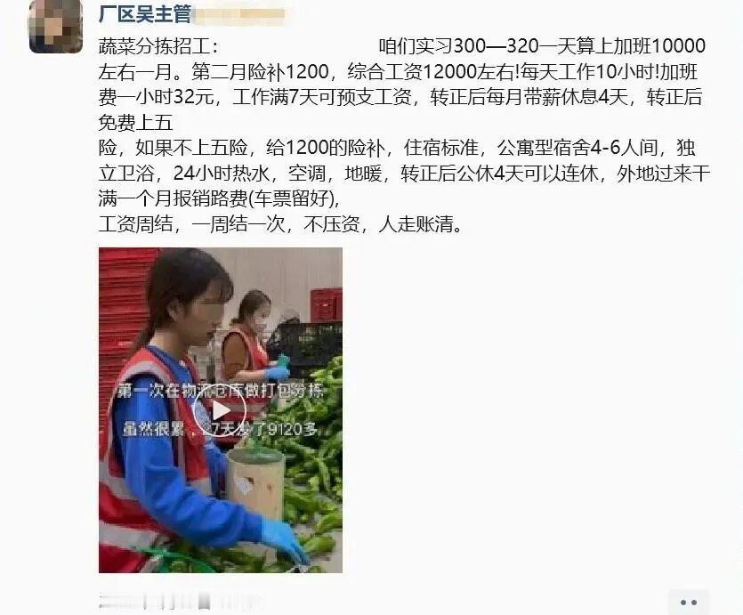 河北廊坊三河的唐一青，被一则“长白班、轻松蔬菜分拣、月入12000元”的招工广告
