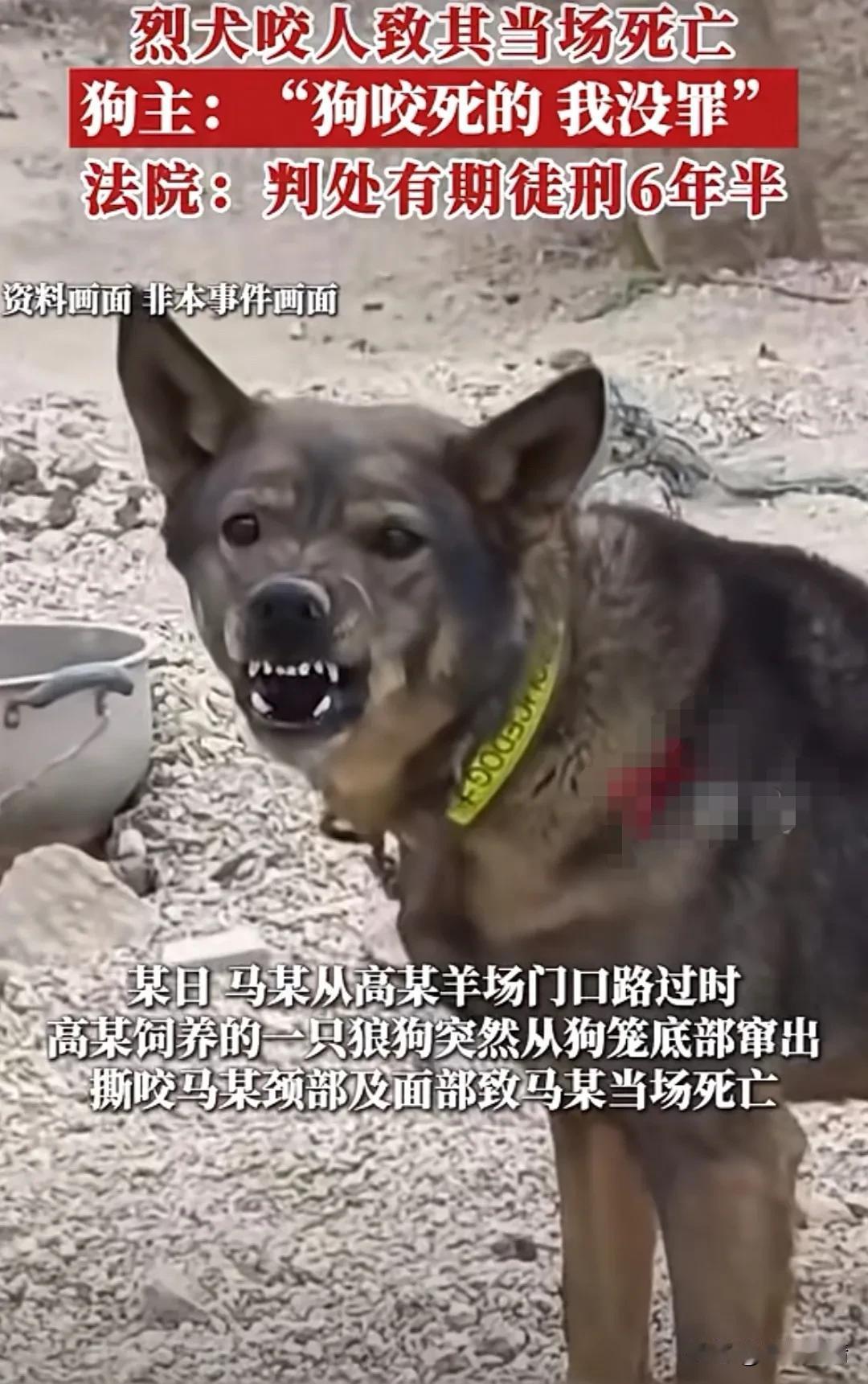 太可怕了！河南一位无辜的路人，只因路过一个羊场，竟然被一只猎犬疯狂撕咬并惨死当场
